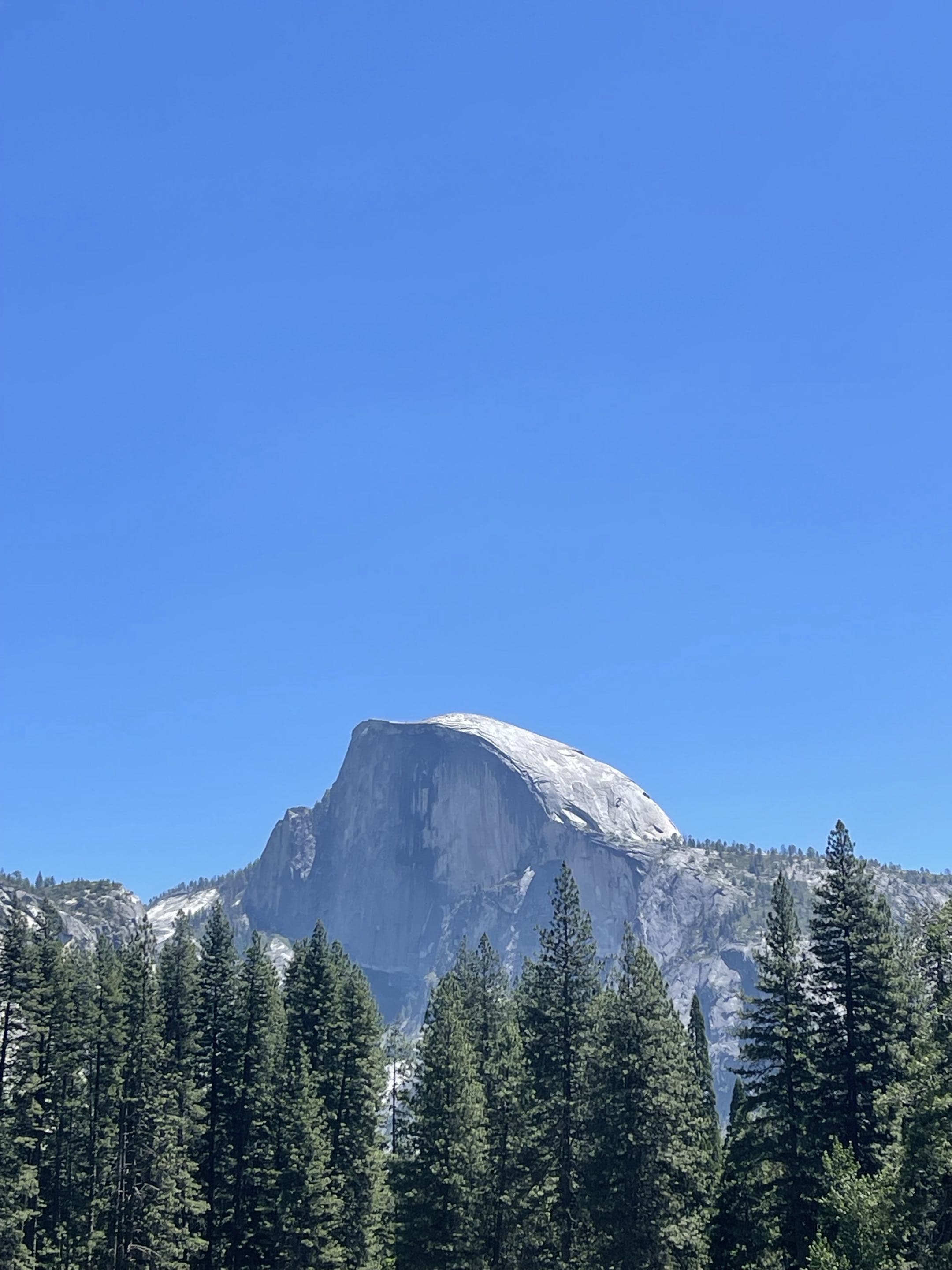 Half Dome above the treeline in Yosemite