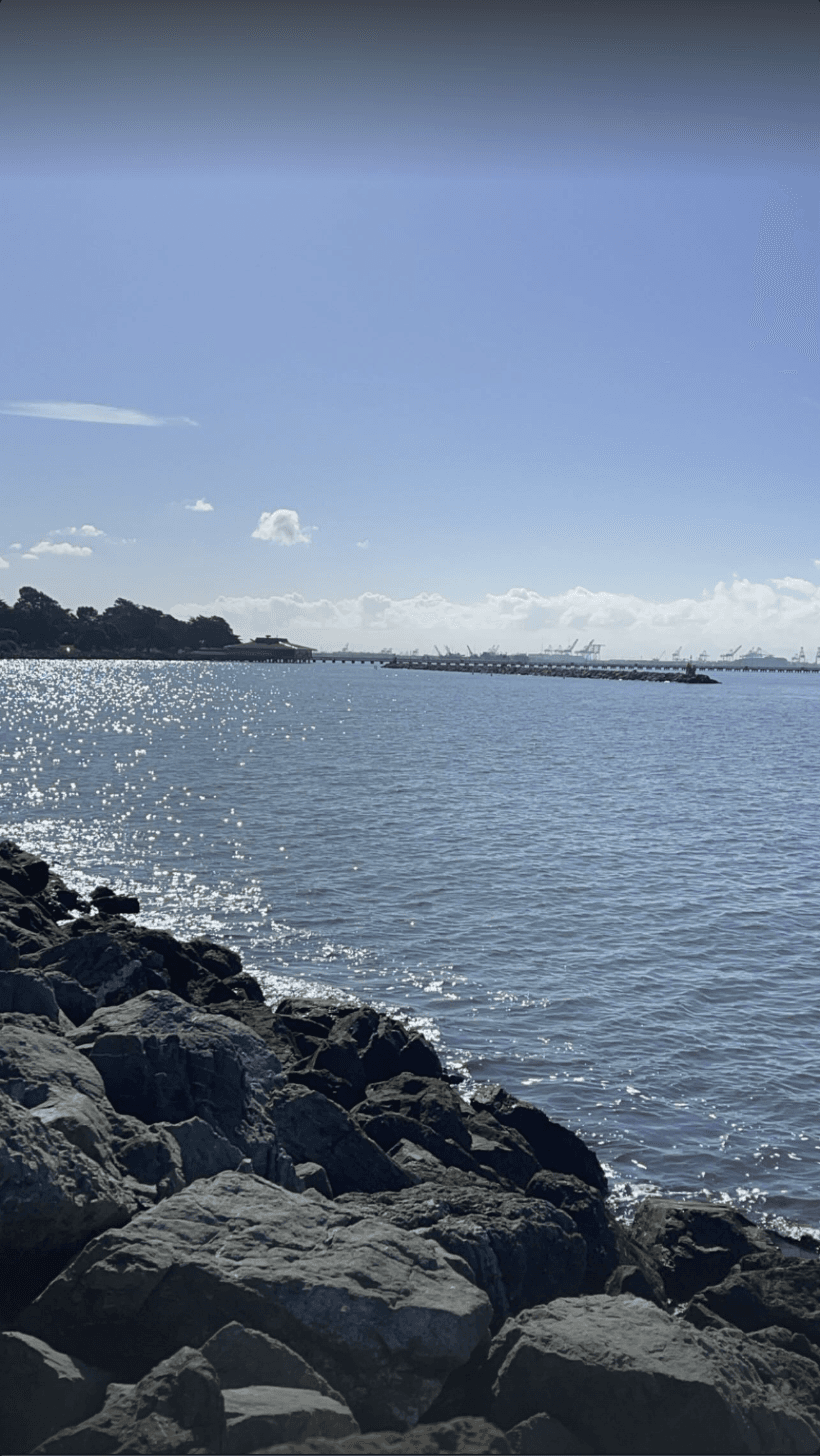 Rocky coastline at the edge of the bay