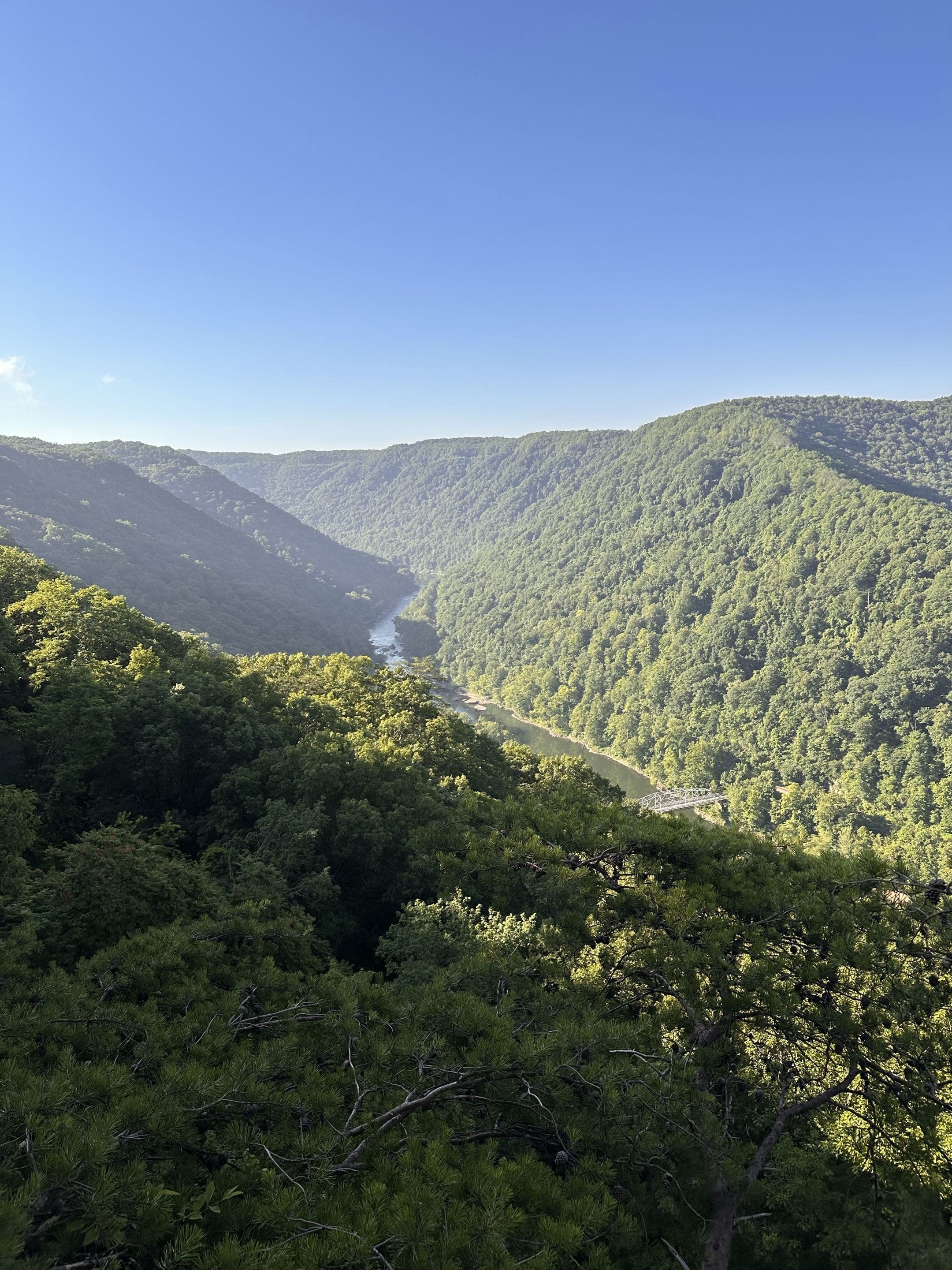 River gorge cutting through forested mountains